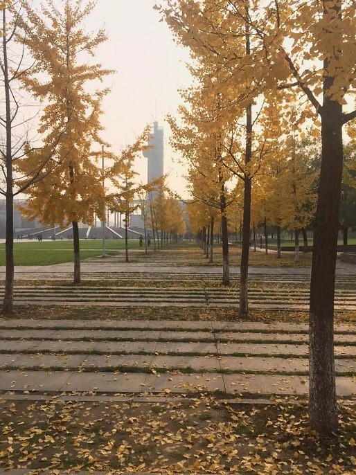 请输入图片描述