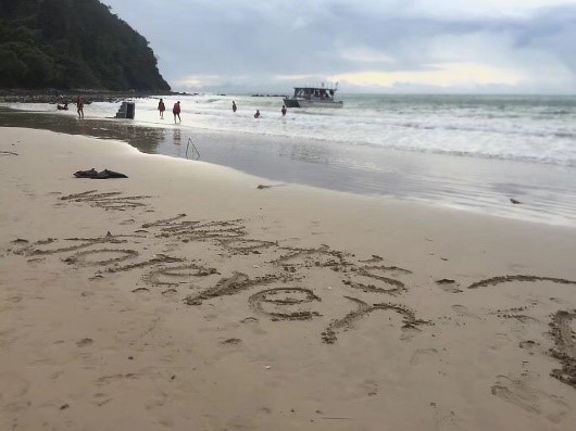 请输入图片描述